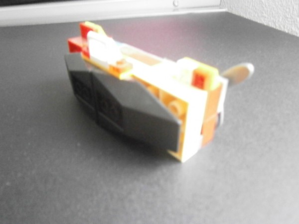 P9130131.JPG