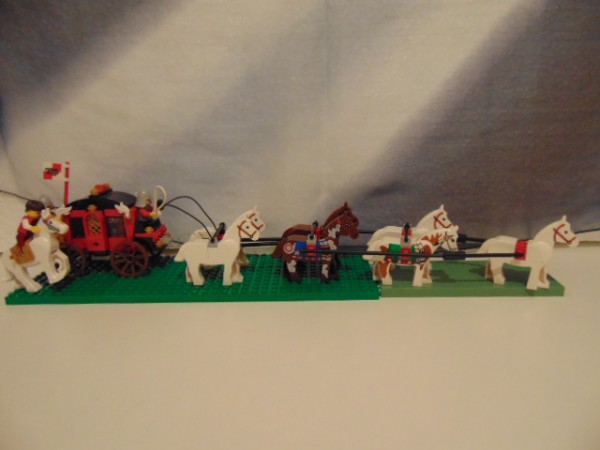 DSC01550.JPG